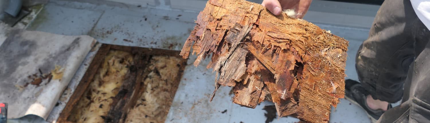 P1188819 Bauteilöffnung am Flachdach: Eine durch massive Feuchtigkeitseinwirkung vollständig zersetzte Holzwerkstoffplatte, die bereits beim Herausnehmen zerbröselt.