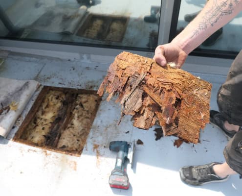 P1188819 Bauteilöffnung am Flachdach: Eine durch massive Feuchtigkeitseinwirkung vollständig zersetzte Holzwerkstoffplatte, die bereits beim Herausnehmen zerbröselt.